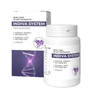 InDiva System