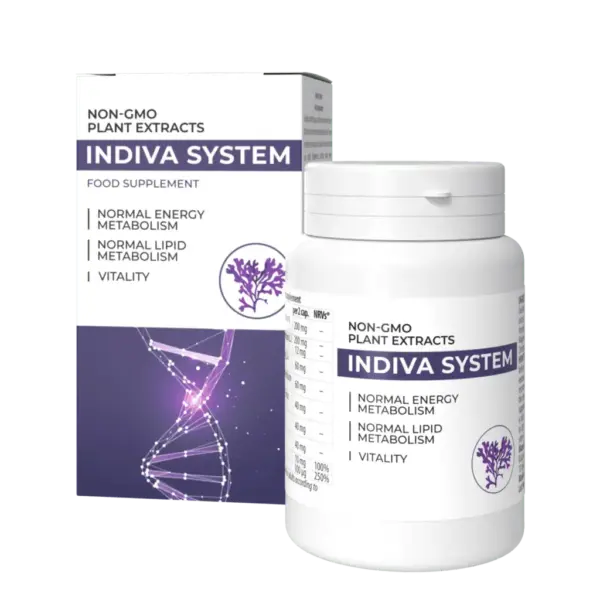 indiva-system.webp InDiva System
